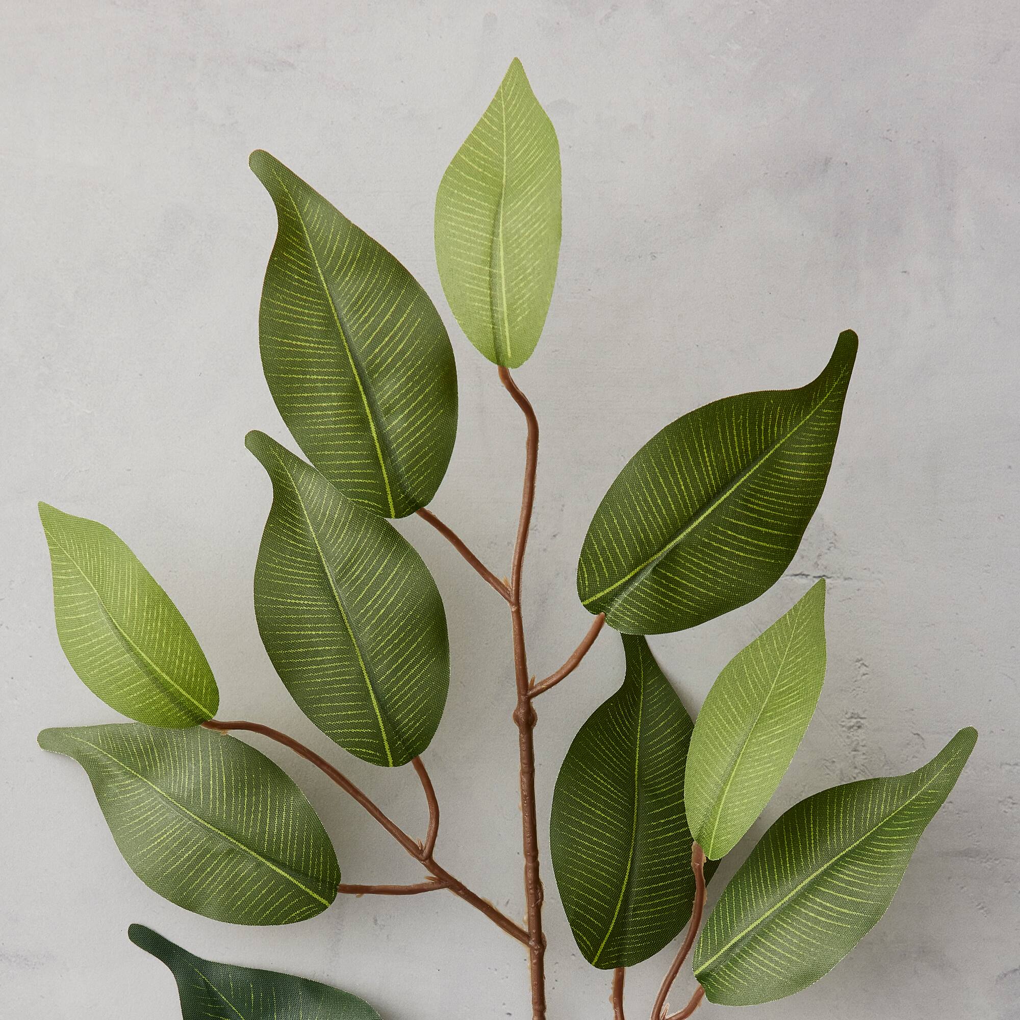 12 Pack: 23" Ficus Spray Floral Essentials by Ashland®